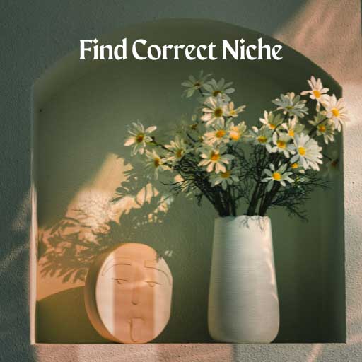 how to find correct niche